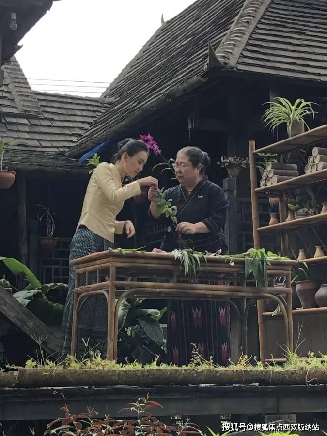 探索未知,畅谈孕妇怎么吃才能让宝宝更健康?什么样的孕妇生出来的孩子身体素质好?的天涯问答交流平台
