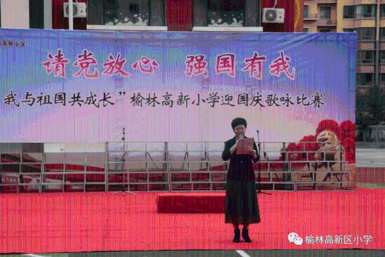 小猫钓鱼游戏龙王版有船